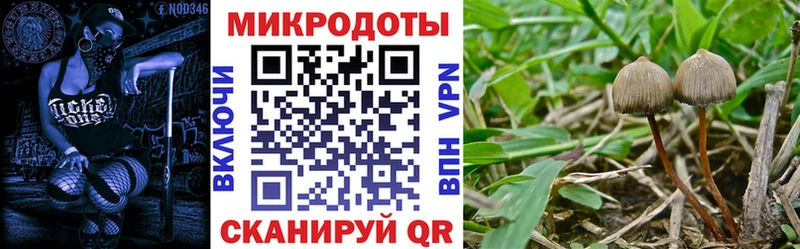Псилоцибиновые грибы Cubensis  наркошоп  Яровое 